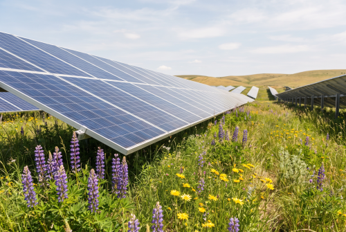 Freiflächen-Photovoltaikanlage auf Schraubfundamenten für eine effiziente und nachhaltige Solarstromerzeugung.